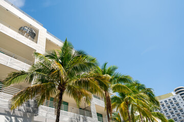 Fototapeta na wymiar Deco architecture and palm trees Miami Beach FL