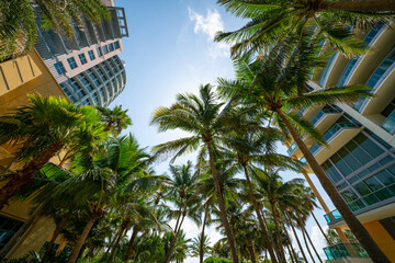 Fototapeta na wymiar Low wide angle photo Miami Beach buildings and palm trees