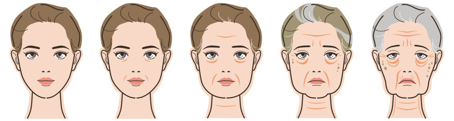 Face of a woman changing with age. From young to old. Vector illustration isolated on white background.