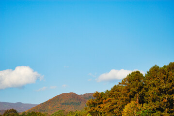 木　山　空　素材