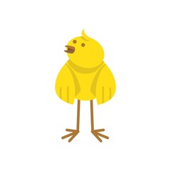 easter chick