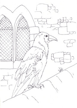 graphic black and white drawing, travel sketch, raven against the window of a medieval castle