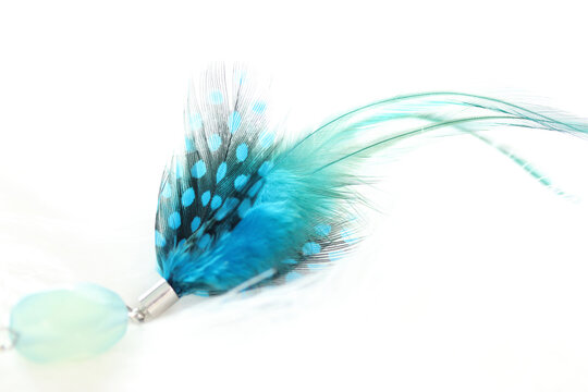 ホロホロ鳥 Images Browse 58 Stock Photos Vectors And Video Adobe Stock