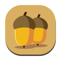 acorns