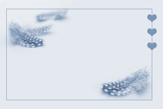 58 Best ホロホロ鳥 Images Stock Photos Vectors Adobe Stock 58 Best ホロホロ鳥 Images Stock Photos Vectors Adobe Stock