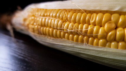 fresh raw maize corn & leaves on horizontal