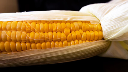 fresh raw maize corn & leaves on horizontal foodstuff