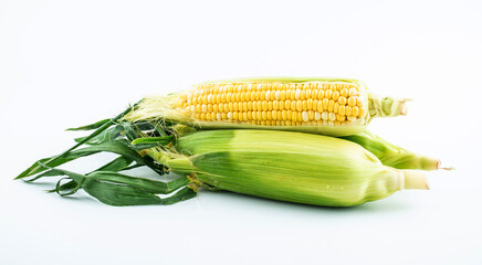 Fresh fruit corn on white background