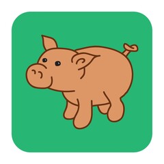 pig