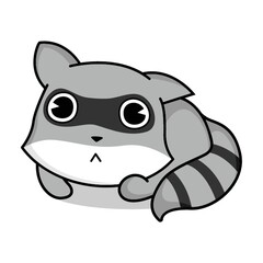 raccoon laying
