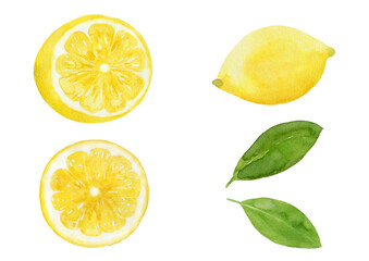 まるごとレモンと半分のレモン、断面、葉っぱのセット　水彩イラスト