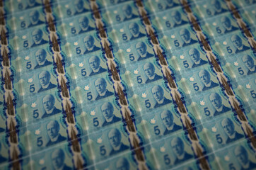 5 Canadian dollars bills printed in illegal money production conveyor. Collage of many fake bills....