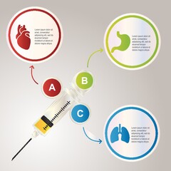 internal human organs infographic