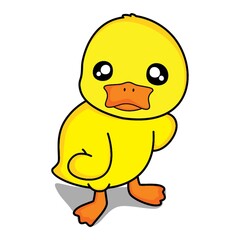 sad duckling