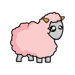 sheep
