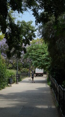 walking a dog