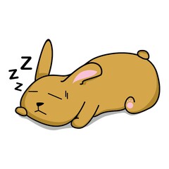sleeping rabbit