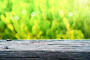 Selective focus of empty old wood on blur nature green leaf with bokeh.