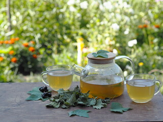 Tea in a glass teapot with cups with green leaves of black currant on a wooden colorful table.