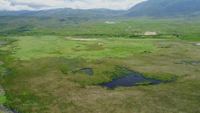 The great vegetation in the vicinity of the lagoon cabral, are part of the rich fauna of a protected area in the Dominican Republic