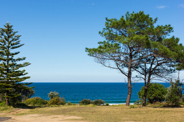 Fototapeta na wymiar View of a Peaceful Blue Ocean from Across Grassed Land