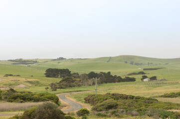 Fototapeta premium Rural Australian Hills
