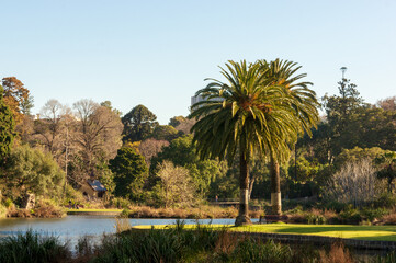 Landscape of Royal Botanic Gardens Melbourne's Picnic Point.