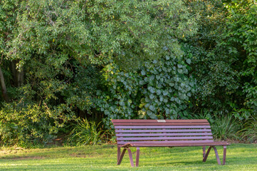 Park Bench on Grassed Area In-front of Bush During Sunset