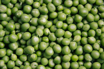 Green pea background. Pea freshly picked. Organic peas pods. Fresh vegetables. Healthy eating. Countryside garden harvest.