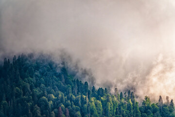 High mountain with green slopes hidden in clouds and fog. Mystical forest on a mountainside in heavy fog.
