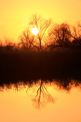 Colorful sunset by the Odra River, Poland.