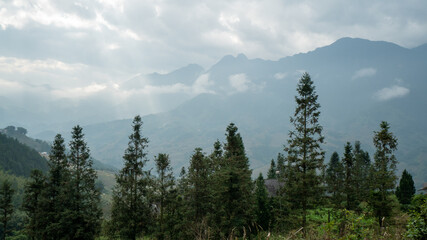 Trees, hills and cloud at Mường Hoa Valley near Sapa in Vietnam