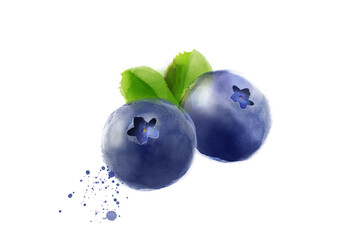 Blueberries isolated on white background