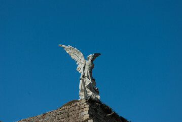 Exterminating angel on a cemetery