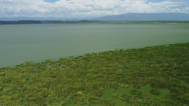 Scenic flight forward in the Cabral lagoon, seeing the green water, and a clear sky