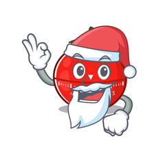 cartoon character of tomato kitchen timer Santa with cute ok finger