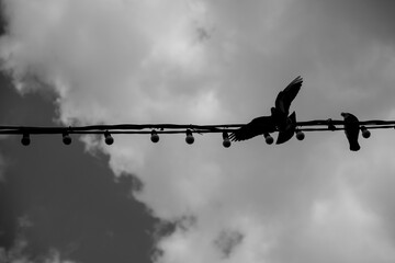 barbed wire against a blue sky