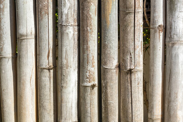 The bamboo wall texture background, bamboo fencing and bamboo screening.