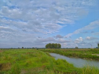 landscape with river