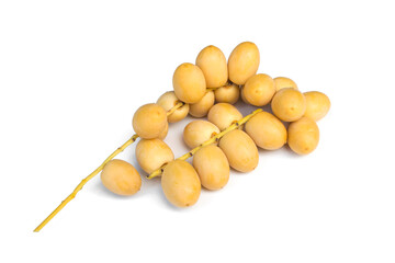 Phoenix dactylifera isolated on white background.