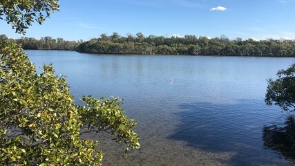 Blue lake with green tree background