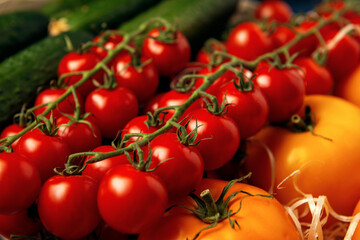 Fresh cherry tomatoes, yellow tomatoes and green cucumbers in wooden box with wood shavings for...