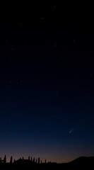 Obraz na płótnie Canvas Comet NEOWISE 