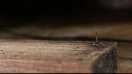 Removing stainless steel nail from wooden board using the hammer blows close up. Self tapping screw reduce due to improper use - Powered by Adobe