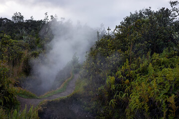 Steam vents trail in the early morning in Hawaii Volcanoes National Park on the Big Island.