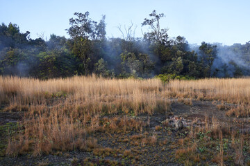 Steaming Bluff at dawn in Hawaii Volcanoes National Park on the Big Island.