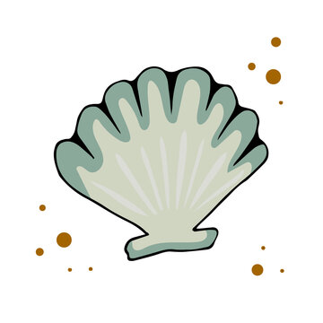 Vector illustration of a seashell, hand drawn in doodle style. Design for printing cards, poster, textiles, wrapping paper