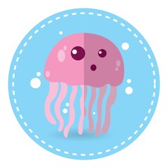 jelly fish