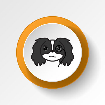 recommend clip art: pekingese, emoji, arrogance multicolored button icon. Signs and symbols icon can be used for web, logo, mobile app, UI, UX