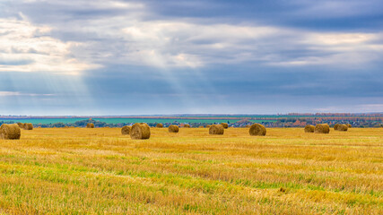 Picturesque autumn landscape with beveled field and straw bales in cloudy day. Beautiful...
